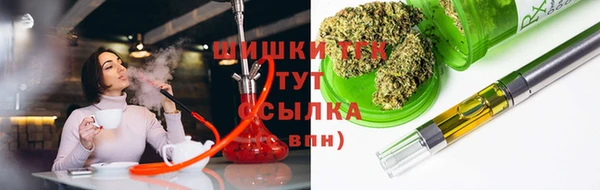 ГАЛЛЮЦИНОГЕННЫЕ ГРИБЫ Белокуриха