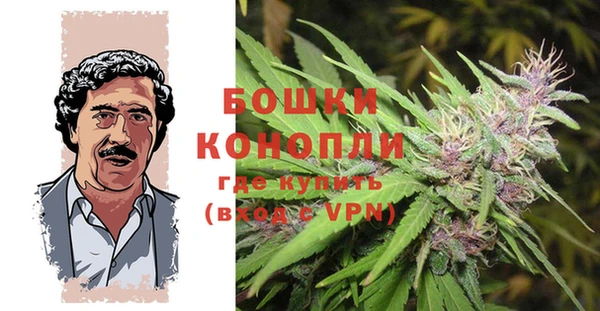 мескалин Богданович