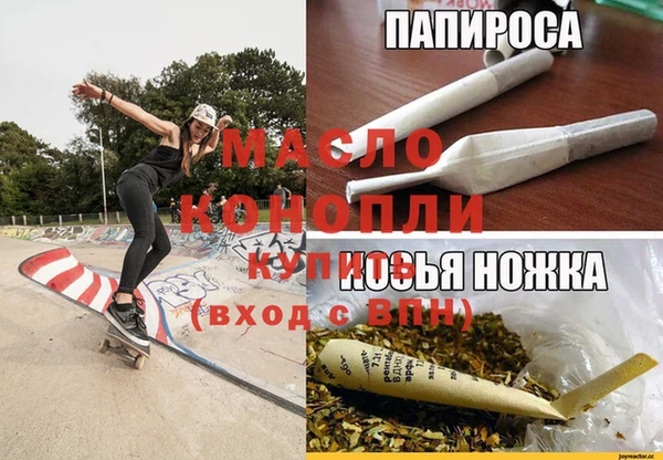 индика Беломорск