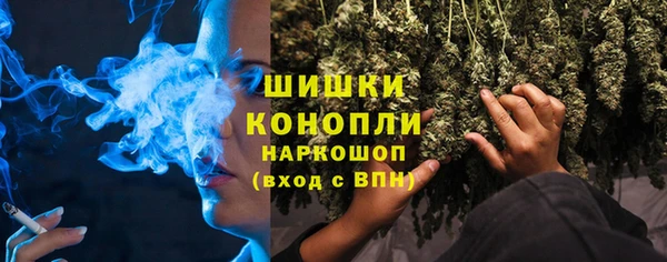 индика Беломорск