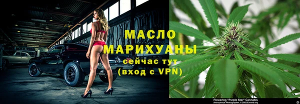 индика Беломорск