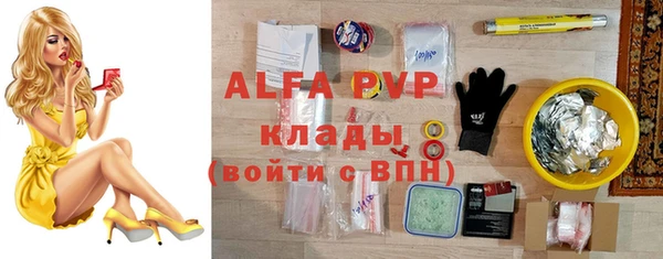 индика Беломорск