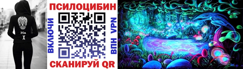 мега как зайти  Богородск  Галлюциногенные грибы MAGIC MUSHROOMS 